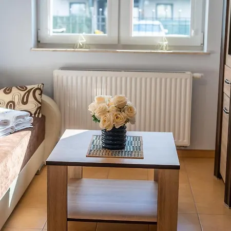 Laba Bursztynowe Z Miejscami Postojowymi 科沃布热格